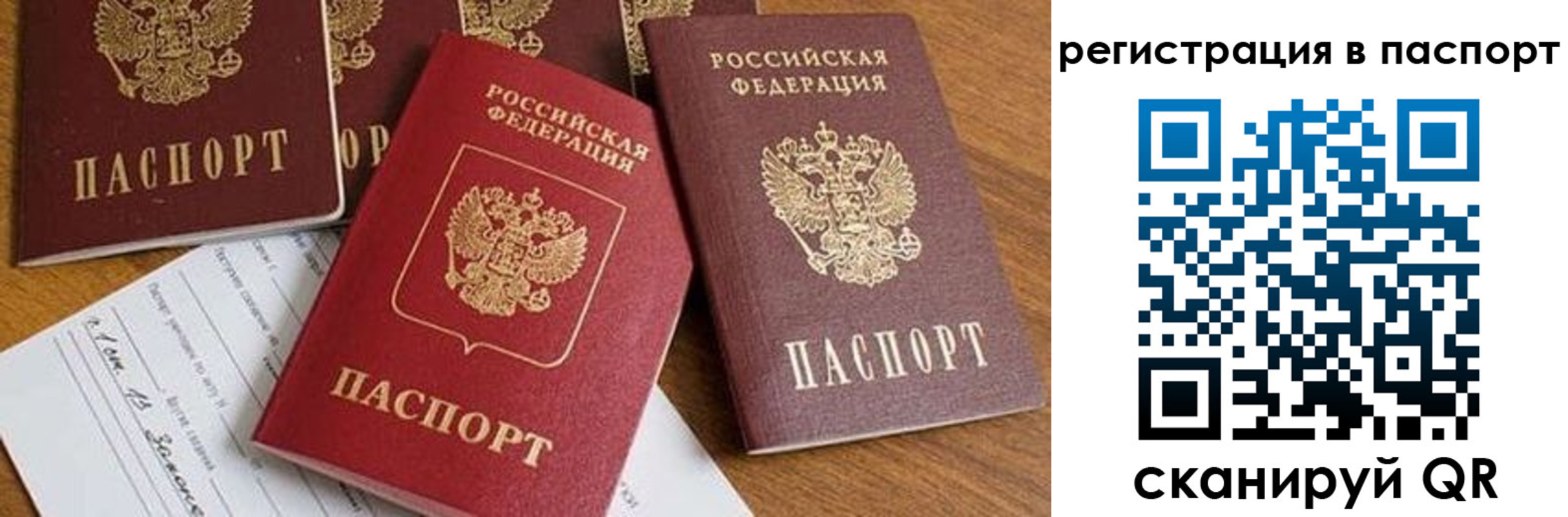 прописка в Николаевске-на-Амуре